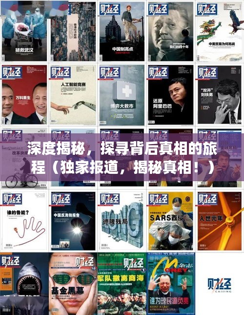 深度揭秘，探寻背后真相的旅程（独家报道，揭秘真相！）