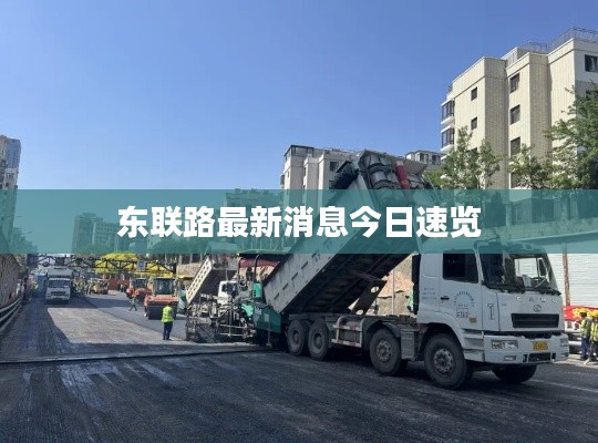 东联路最新消息今日速览