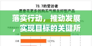 落实行动，推动发展，实现目标的关键所在