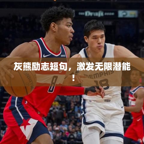 灰熊励志短句，激发无限潜能！