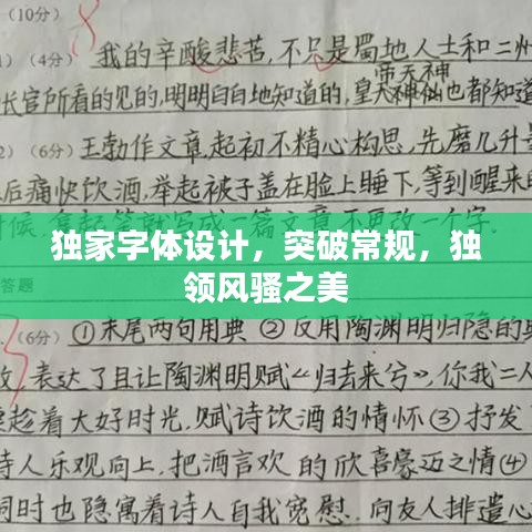 独家字体设计，突破常规，独领风骚之美