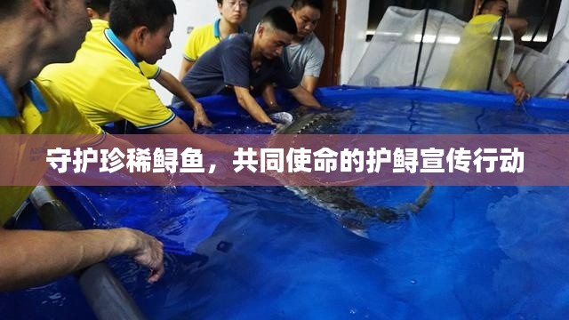 守护珍稀鲟鱼，共同使命的护鲟宣传行动