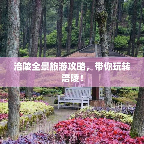荆钗布裙