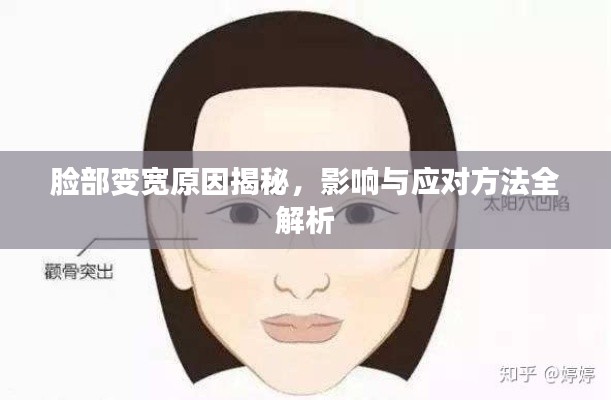 脸部变宽原因揭秘，影响与应对方法全解析