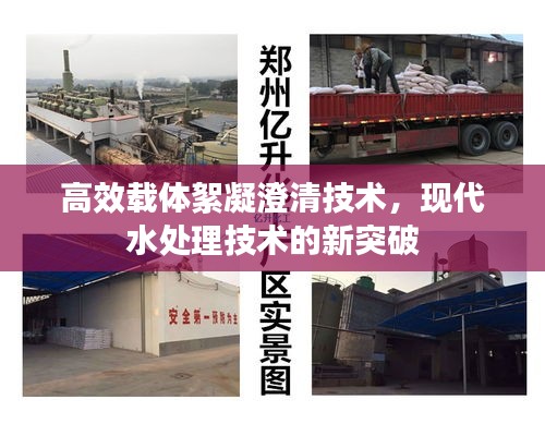 纲挈目张