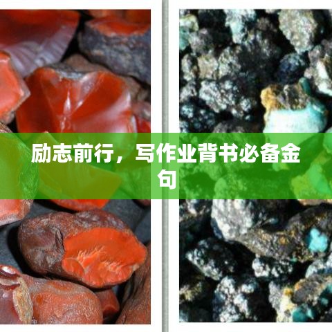 励志前行，写作业背书必备金句