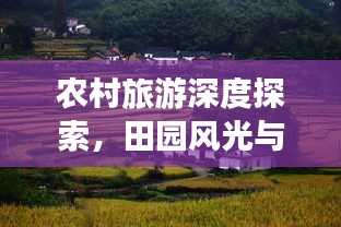 农村旅游深度探索，田园风光与乡村魅力的独特体验