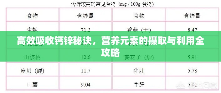 高效吸收钙锌秘诀，营养元素的摄取与利用全攻略