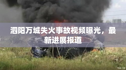 小家碧玉