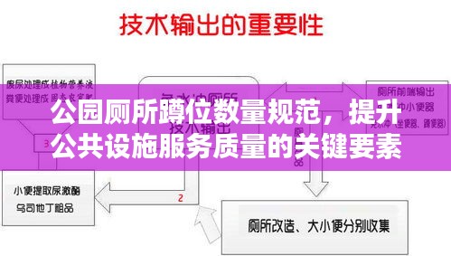 公园厕所蹲位数量规范，提升公共设施服务质量的关键要素