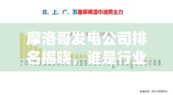 摩洛哥发电公司排名揭晓，谁是行业领军者？