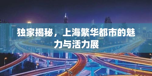独家揭秘，上海繁华都市的魅力与活力展
