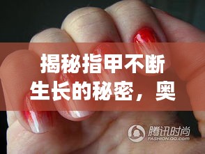 揭秘指甲不断生长的秘密，奥秘大解密！