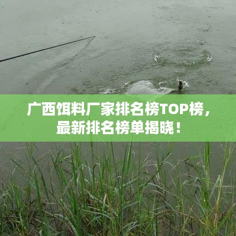 广西饵料厂家排名榜TOP榜，最新排名榜单揭晓！