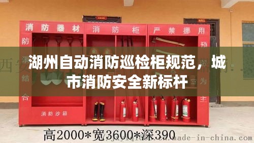 湖州自动消防巡检柜规范，城市消防安全新标杆