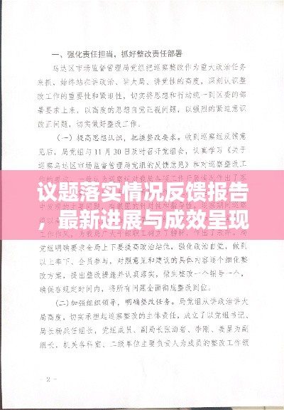 议题落实情况反馈报告，最新进展与成效呈现