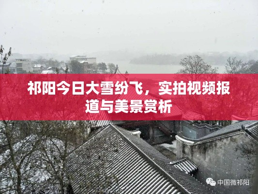 祁阳今日大雪纷飞，实拍视频报道与美景赏析
