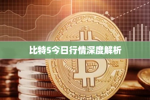 比特5今日行情深度解析