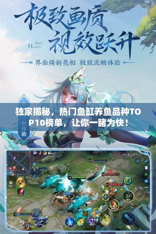 不求甚解