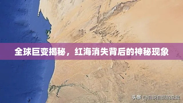 关于我们 第28页