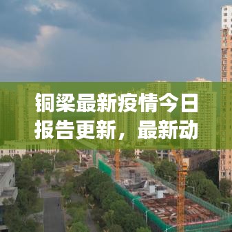 铜梁最新疫情今日报告更新，最新动态与防控进展