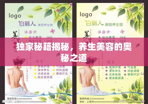 独家秘籍揭秘，养生美容的奥秘之道