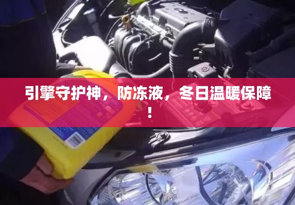 引擎守护神，防冻液，冬日温暖保障！