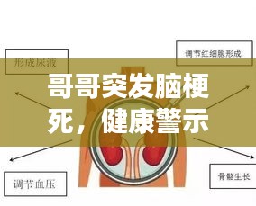 哥哥突发脑梗死，健康警示警醒人心