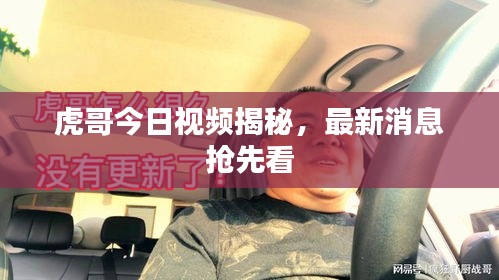虎哥今日视频揭秘，最新消息抢先看