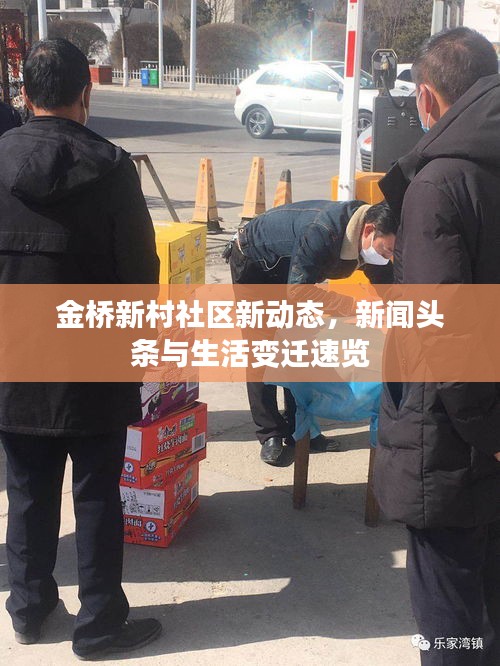 金桥新村社区新动态，新闻头条与生活变迁速览