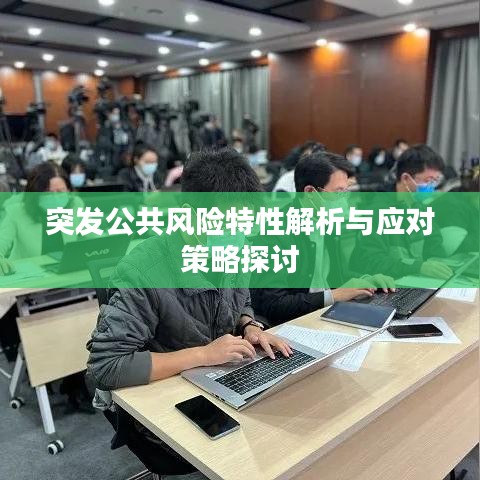 突发公共风险特性解析与应对策略探讨