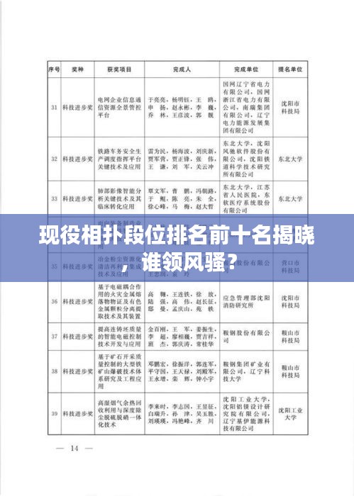 现役相扑段位排名前十名揭晓，谁领风骚？