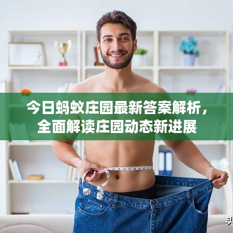 今日蚂蚁庄园最新答案解析，全面解读庄园动态新进展