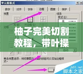 柚子完美切割教程，带叶操作技巧详解，视频教程速览！