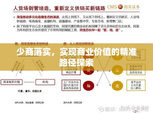少商落实，实现商业价值的精准路径探索