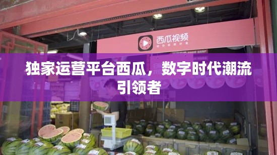 独家运营平台西瓜，数字时代潮流引领者