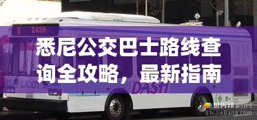 悉尼公交巴士路线查询全攻略，最新指南助你轻松出行