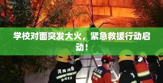 徙宅忘妻