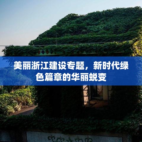 美丽浙江建设专题，新时代绿色篇章的华丽蜕变
