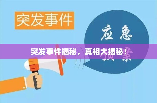 突发事件揭秘，真相大揭秘！