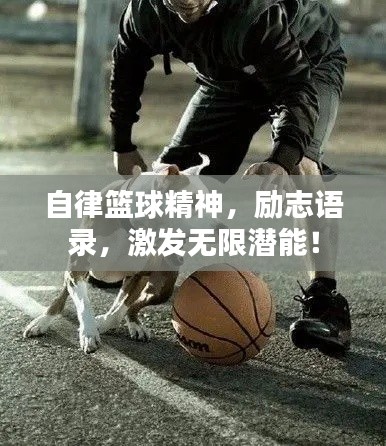 逸兴遄飞