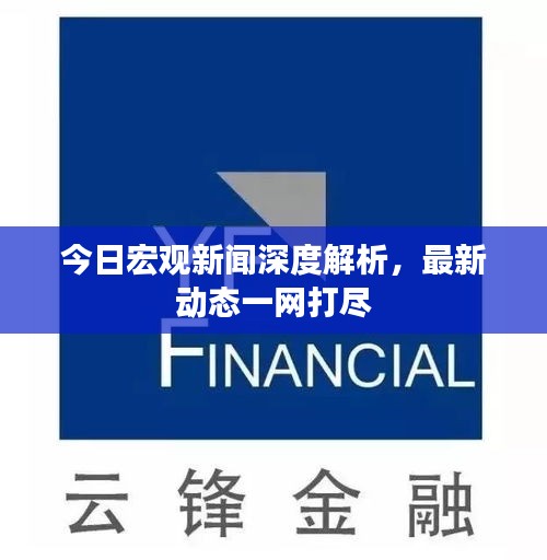今日宏观新闻深度解析，最新动态一网打尽