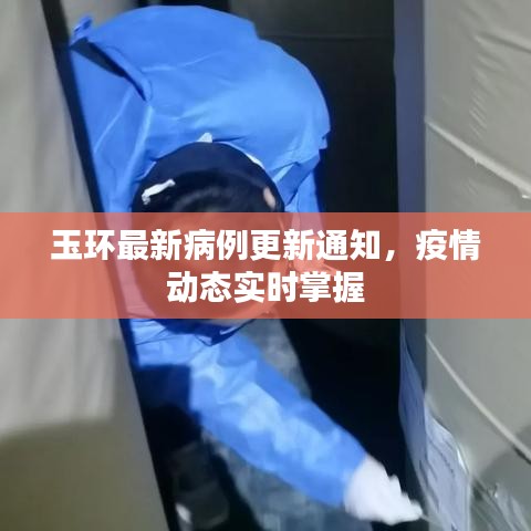 玉环最新病例更新通知，疫情动态实时掌握