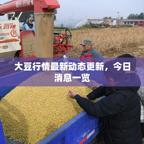 不修边幅