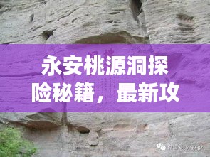 料事如神