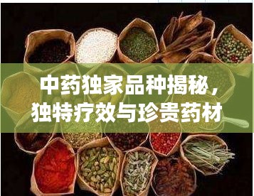 中药独家品种揭秘，独特疗效与珍贵药材的完美结合