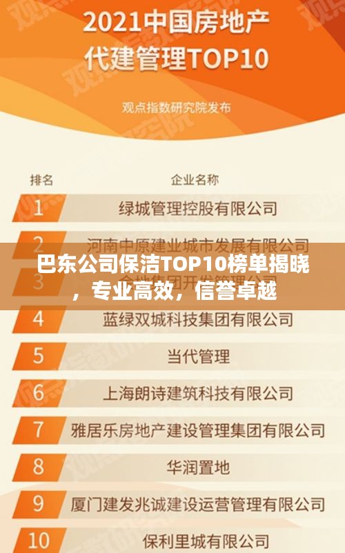 巴东公司保洁TOP10榜单揭晓，专业高效，信誉卓越