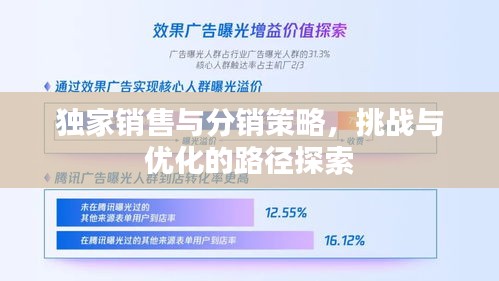 独家销售与分销策略，挑战与优化的路径探索