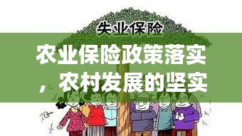 农业保险政策落实，农村发展的坚实保障后盾