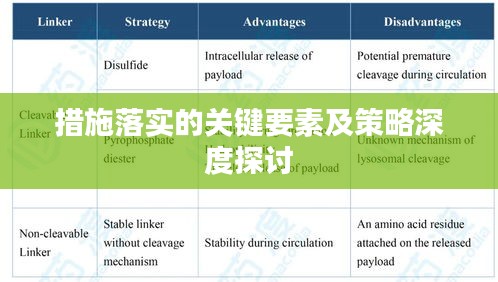 措施落实的关键要素及策略深度探讨